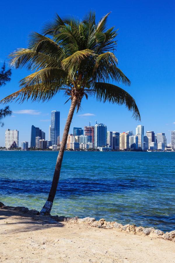 Enchanting Cozy Apartment 10 Min Away From Airport, Calle 8, Brickell, Coral Gables, The Beach And More! Μαϊάμι Εξωτερικό φωτογραφία
