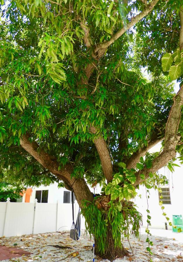 Enchanting Cozy Apartment 10 Min Away From Airport, Calle 8, Brickell, Coral Gables, The Beach And More! Μαϊάμι Εξωτερικό φωτογραφία